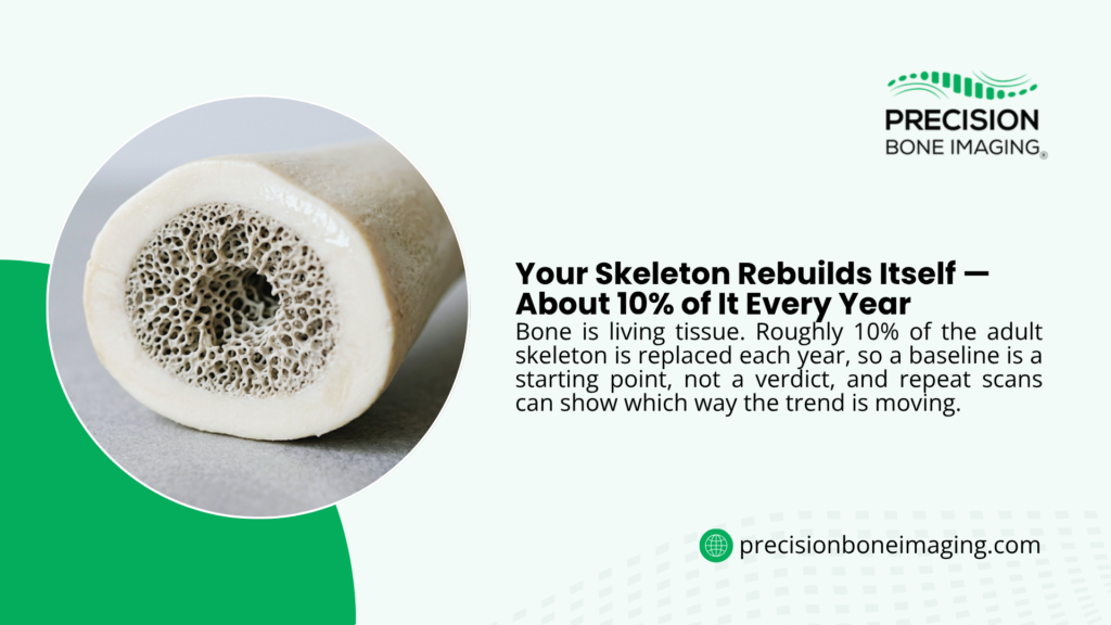 Precision Bone Imaging graphic explaining the skeleton rebuilds about 10% of itself yearly through bone remodeling, beside a cross-section photo showing spongy trabecular bone structure.